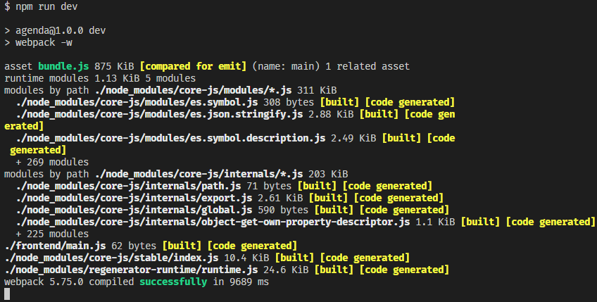 Output do comando npm run dev